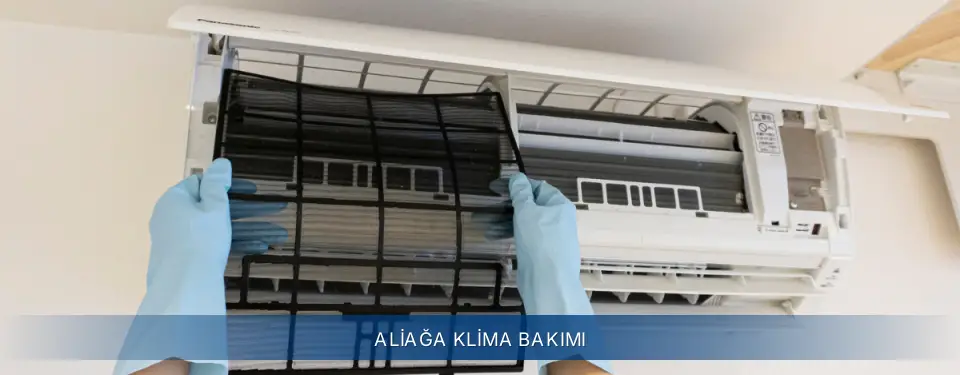 Aliağa İlçemi Electrolux Klima Bakımı