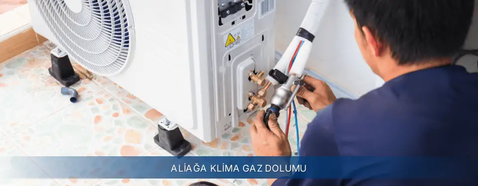 Aliağa İlçemi Electrolux Klima Gaz Dolumu