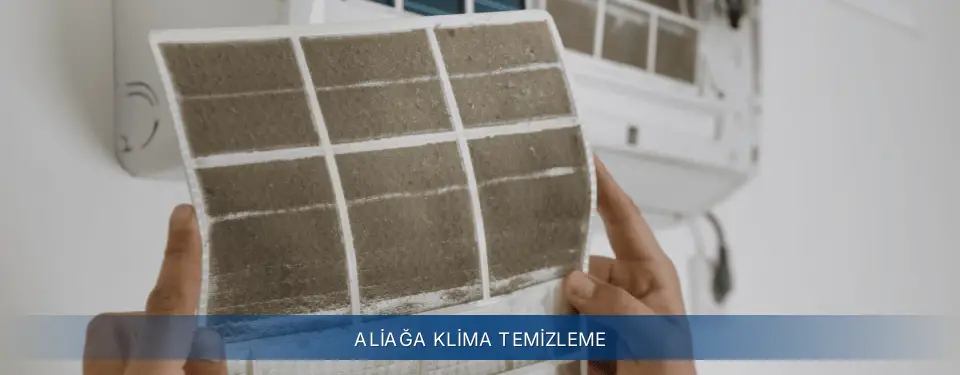 Aliağa İlçemi Electrolux Klima Temizleme
